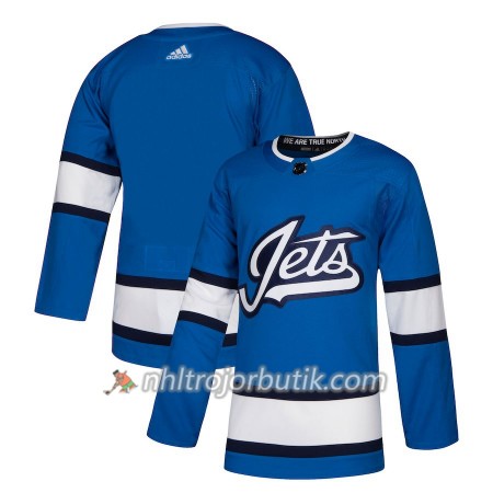 Män Ishockey Winnipeg Jets Tröja Blank Alternate Adidas 2018-19 Authentic